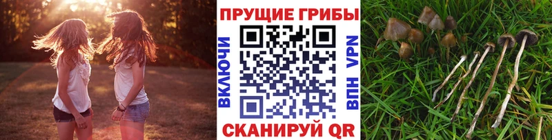 Галлюциногенные грибы MAGIC MUSHROOMS  Шахунья 
