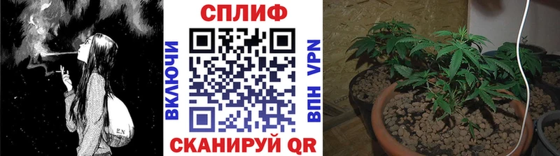 как найти наркотики  Шахунья  Бошки Шишки индика 